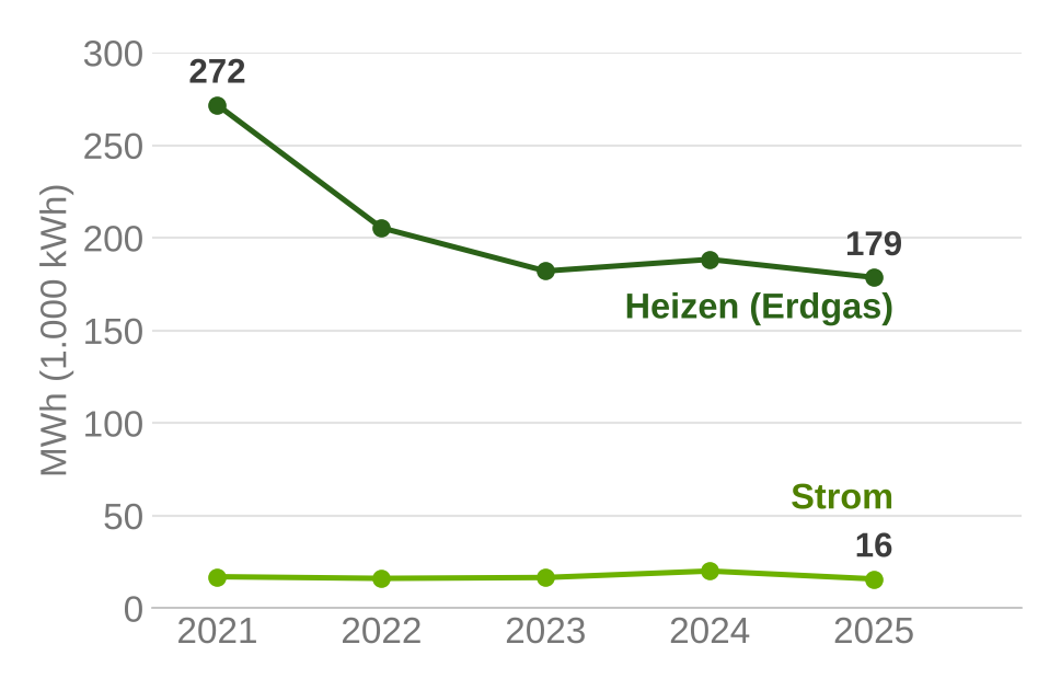 Energieverbrauch der pastoralen Fläche, Erdgas und Strom 2021 bis 2025